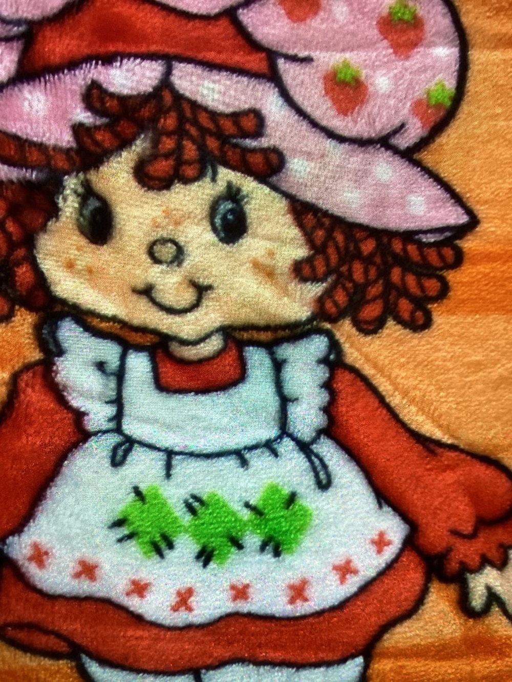 New Halloween Strawberry Shortcake Throw 50x70”